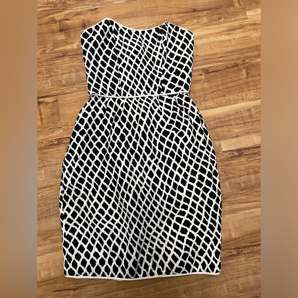 RARE Nina Ricci Paris Dress
